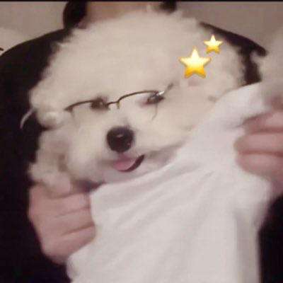 アメリカンクリスタルのみきさん写メ日記