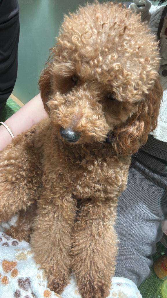 新宿クリスタルのえりなさん写メ日記